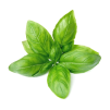 <a class="ingredient-link" data-ingredient-link-id="35" data-clicks="0" href="https://guidedesaliments.com/guide/basilic/" target="_blank" rel="nofollow sponsored">feuilles de basilic</a>