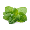 <a class="ingredient-link" data-ingredient-link-id="13" data-clicks="0" href="https://guidedesaliments.com/guide/origan/" target="_blank" rel="nofollow sponsored">Origan</a>