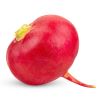 <a class="ingredient-link" data-ingredient-link-id="20" data-clicks="0" href="https://guidedesaliments.com/guide/radis/" target="_blank" rel="nofollow sponsored">Radis</a>