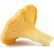 chanterelles