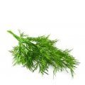 <a class="ingredient-link" data-ingredient-link-id="55" data-clicks="0" href="https://guidedesaliments.com/guide/aneth/" target="_blank" rel="nofollow sponsored">aneth</a>