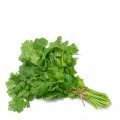 <a class="ingredient-link" data-ingredient-link-id="39" data-clicks="0" href="https://guidedesaliments.com/guide/coriandre/" target="_blank" rel="nofollow sponsored">coriandre fraîche hachée</a>