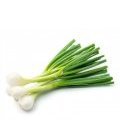 <a class="ingredient-link" data-ingredient-link-id="6" data-clicks="0" href="https://guidedesaliments.com/guide/oignons-frais/" target="_blank" rel="nofollow sponsored">oignon vert</a>