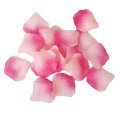 pétales de rose