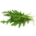 roquette